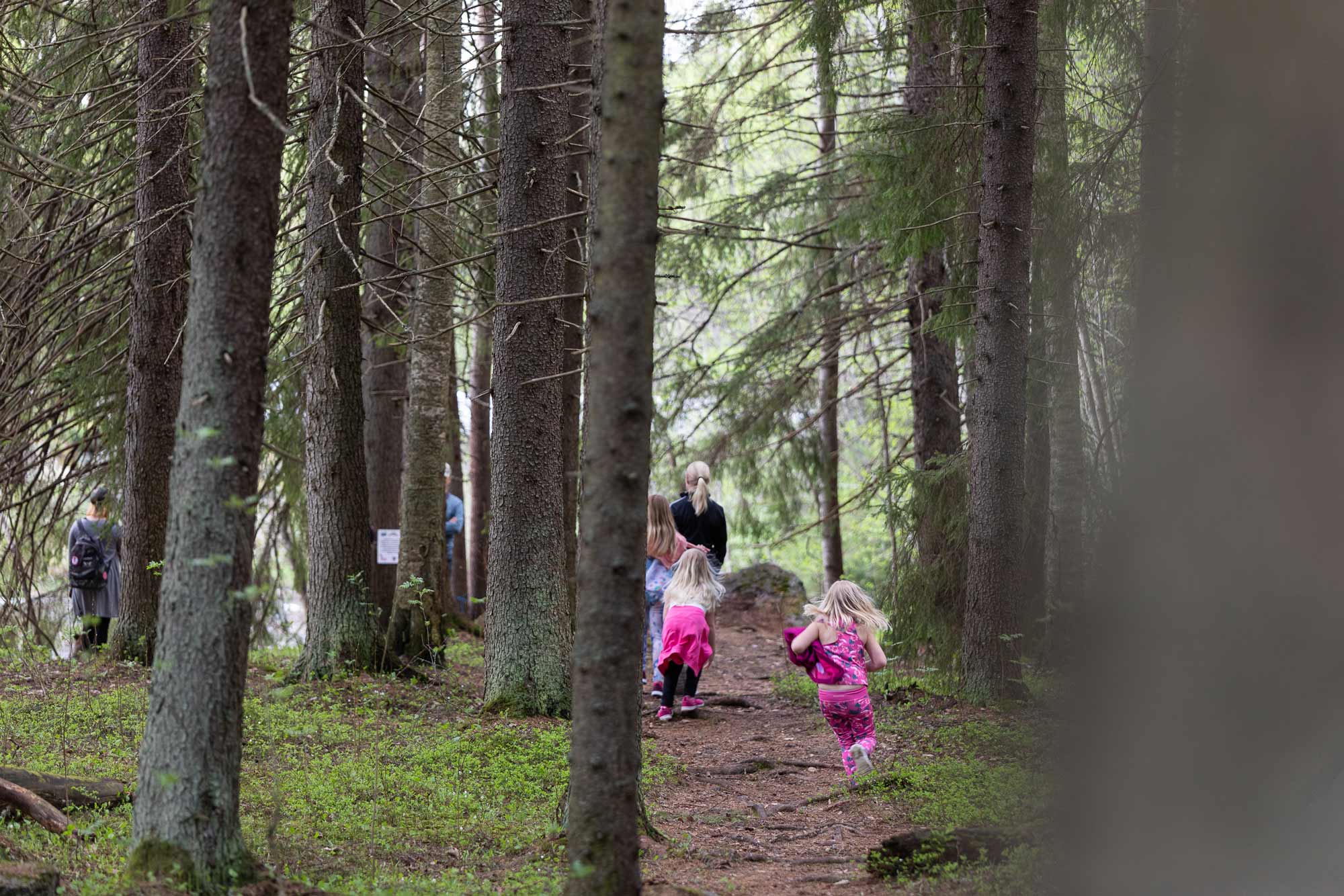 Lastenfestari Pikkuprovinssi järjestetään Törnävänsaaressa