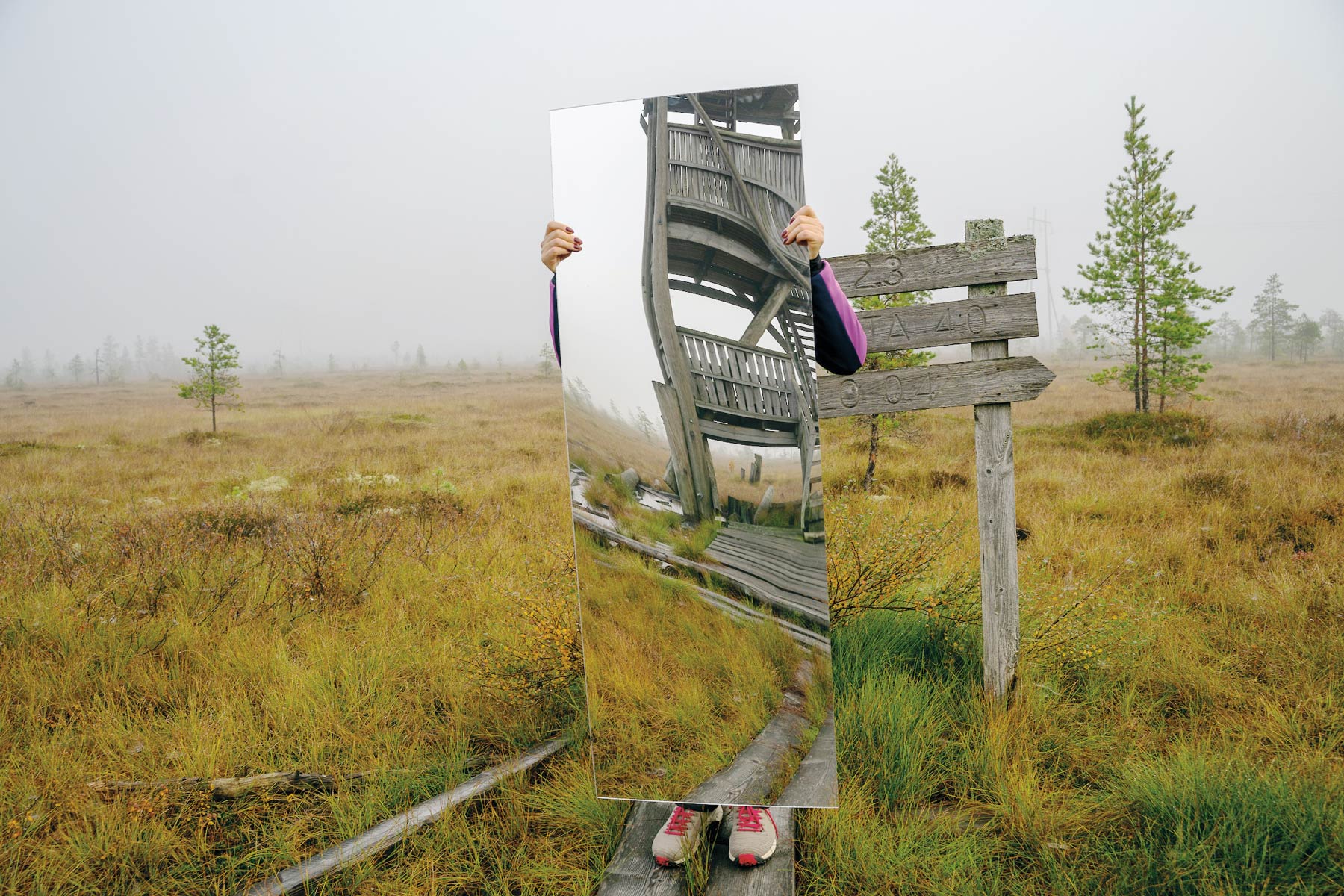 Matthew Cowan on etsinyt näyttelyään varten paikallisten opastamana villiyttä muun muassa Paukanevalta.